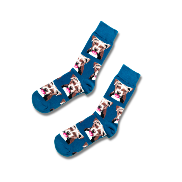 P-BLU-BRO-1-scaled-1.png