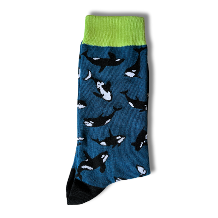 Whale Print Blue Socks - Image 4