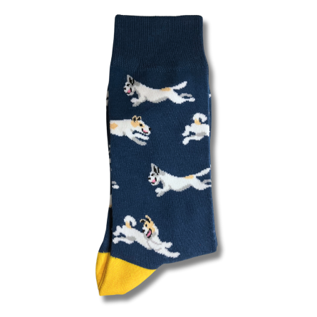 Blue and White Doggy Socks - Image 3