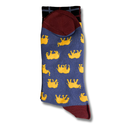 Safari Elephant Socks - Image 3