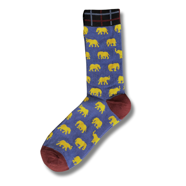 TB-BLU-YEL-9-5.png