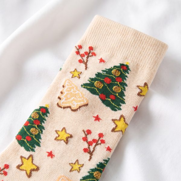 A-XMS-008